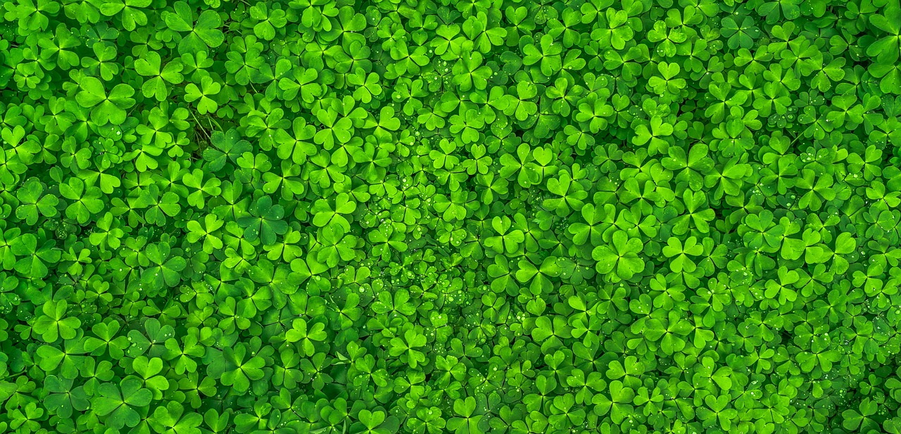 Exploring the Impact of Green Spaces in Urban Environment